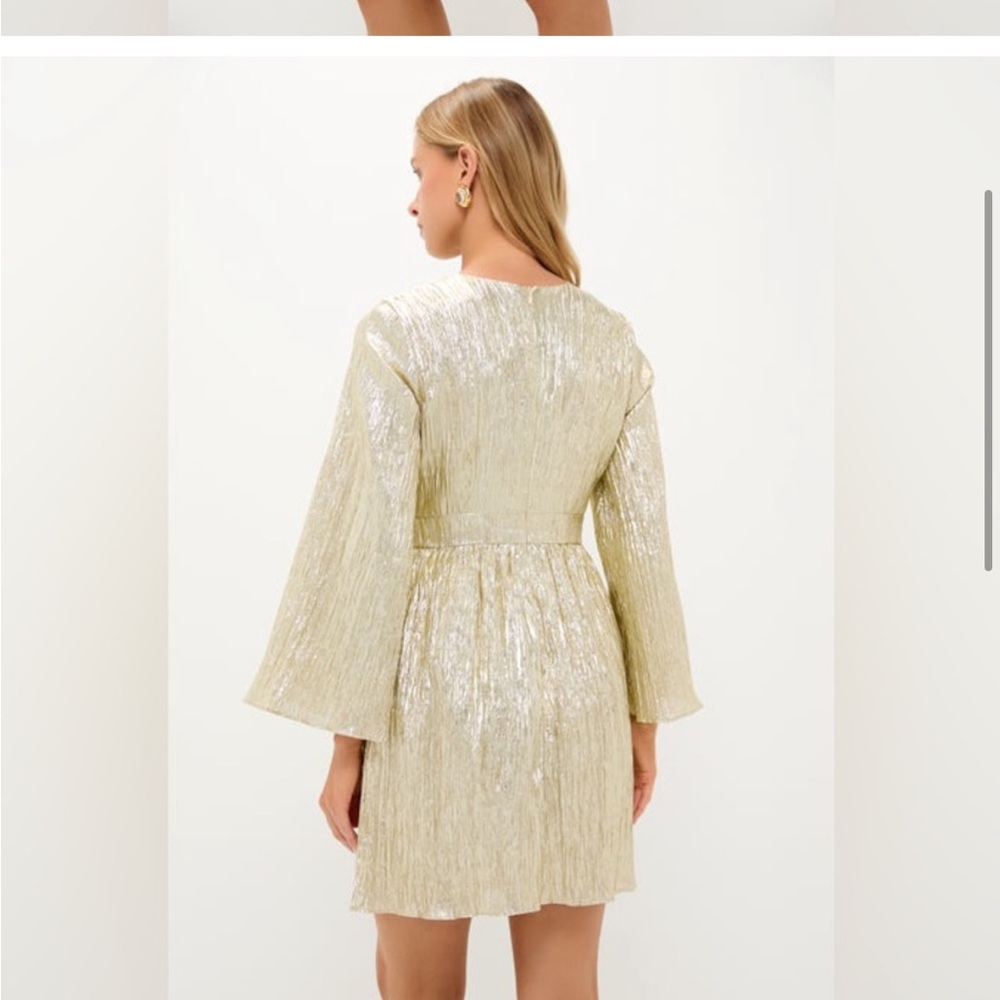 Tuckernuck Metallic Gold Long-Sleeve Bow-Front Mini Dress - Picture 5 of 5